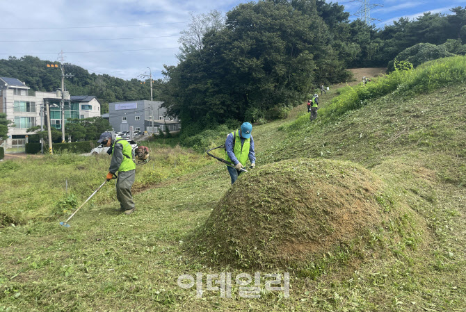 [포토] 농협 벌초대행 서비스