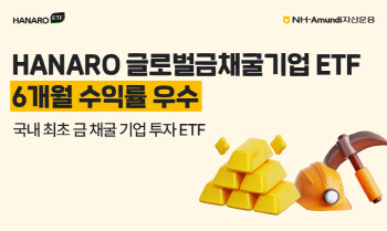 NH아문디운용, 금값 고공행진…'HANARO 글로벌금채굴기업 ETF' 수익률↑