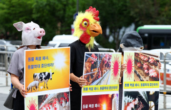 오랜 폭염에 가축 폐사 100만마리…동물단체 "학대행위"