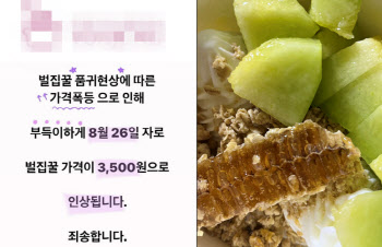 “벌집꿀 없는 벌집 아이스크림이라뇨” 몇개월째 품귀현상, 왜