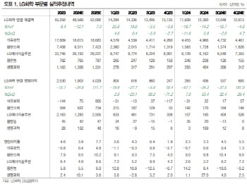 LG화학, 추가 둔화 제한적…밸류에이션 바닥 고민 시점-DB