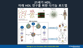 심혈관질환 위험성 예측· 예방 위해선 HDL 기능에 관심져야