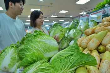 롯데마트, 4000원대 안반데기 햇배추 판매