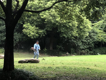 벌초하다 벌에 쏘이면? ‘잘못되면 사망...응급처치·예방 중요’