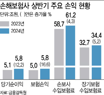 의료파업 장기화의 역설…손보사 실적 잔치