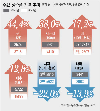 "과일ㆍ채소 담기 겁나" "명절대목 옛말"…소비자도 상인도 한숨[르포]