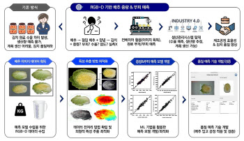 AI로 배추 중량·부피 예측해 김치 품질 높인다