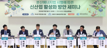 "분산에너지 범위 늘리고 인허가 문턱 낮춰야"