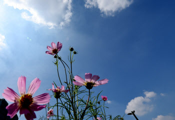 “우산 챙기세요”…전국 5~40㎜ 비소식[오늘날씨]