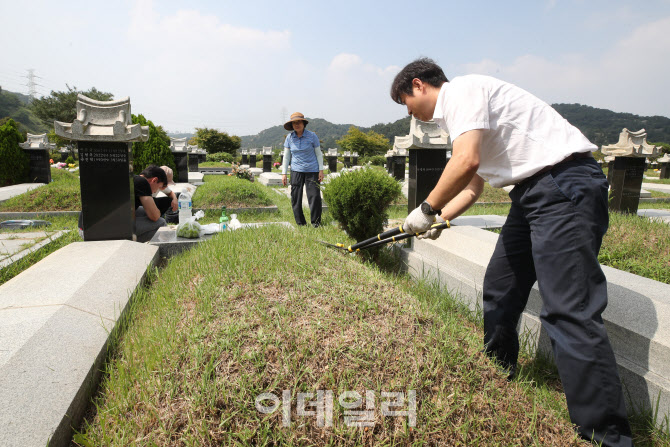 [포토]잡초 제거하는 성묘객