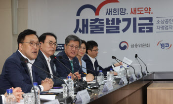 '새출발기금' 확대 방안, 추석 전 조기 시행