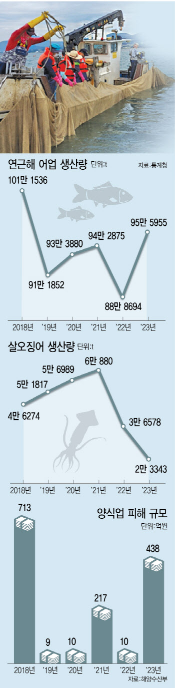 양식장 피해액 713억원 넘어설 듯…오징어 어획량은 1년새 36% 급감