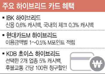 잔액 부족 민망함은 그만, '할부되는 체카' 납시오