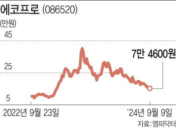 “그때 그 애널이 맞았네”…땅치는 에코프로 열성개미