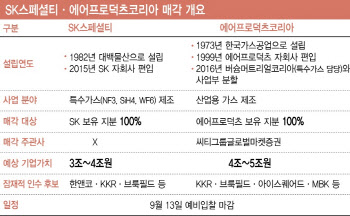 ‘가스 M&A’ 빅데이…SK스페셜티·에어프로덕츠 예비입찰 관전 포인트는