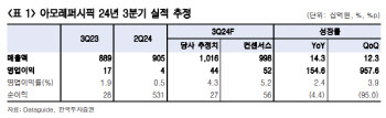 아모레퍼시픽, 중국 부진 비중국 매출로 상쇄-한국