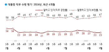 尹지지율, 20% 초반대 횡보…부정평가 이유 1위는 '의대증원'[한국갤럽]