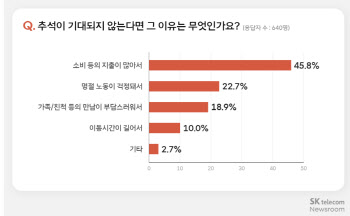 "돈만 줄줄 나가" "그냥 쉴래"…대세는 조용한 명절?