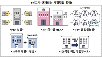 "규제 완화 후 PEF 설립 봇물"…숨통 트인 기업결합 규제