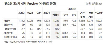 팬오션, 중장기 운임 상승 동력 부재에 아쉬운 배당성향…목표가↓-NH