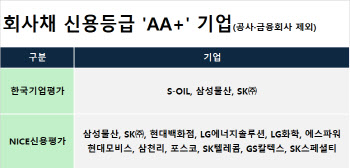 고려아연, 신용등급 AA+…초우량기업 입증