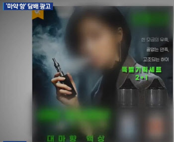 규제 사각지대 ‘대마향 액상담배’ 잡자…與송언석, 담배사업법 개정 추진