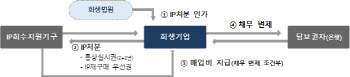 특허 등 지식재산권 디딤돌로 기업 회생 더 쉬어진다