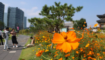 아침 출근길 쌀쌀, 아침 최저 10도…“일교차 주의”