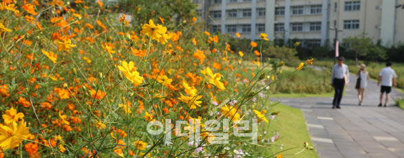 “출근길 쌀쌀해요”…아침 최저 기온 10도[오늘날씨]