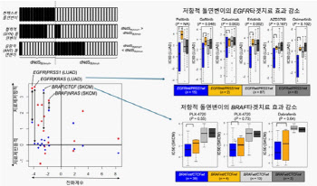 가톨릭중앙의료원, 암 돌연변이 간 상호작용 기전 규명