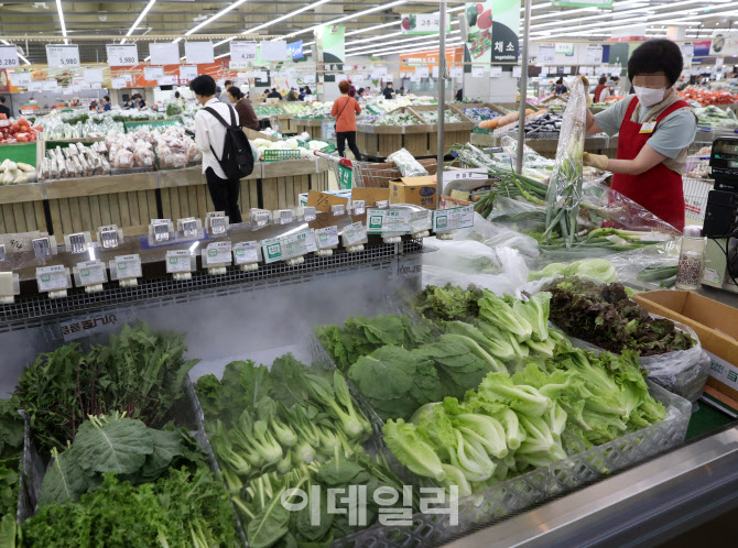 [포토] 채소값 고공행진