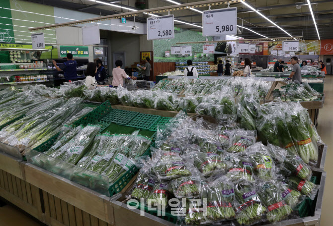 [포토] 채소값 고공행진