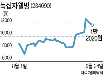 녹십자웰빙 이달에만 40% 올랐는데 목표가 ‘쑥’