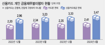 팍팍한 서민 살림에…카드빚 반 년새 2000억 늘었다