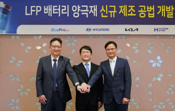 현대차·기아, LFP 배터리 양극재 新제조 공법 개발 나선다