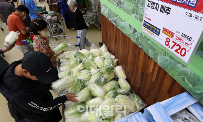 [포토]당분간 ‘金배추’… 김장대란 우려도