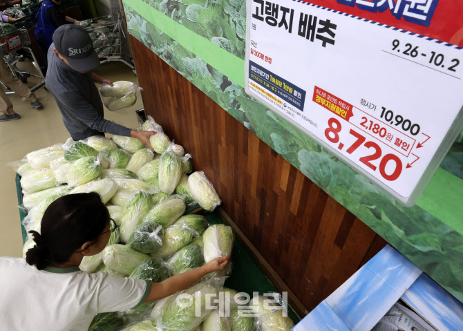 [포토]배추값 고공행진