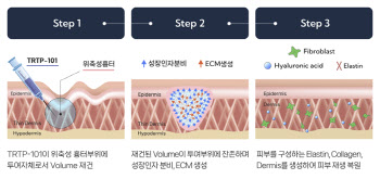 셀인셀즈, 오가노이드 피부 재생치료제 임상 1상 투약 완료