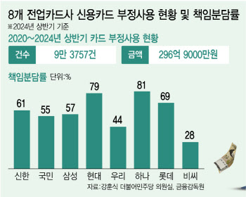 '도난·분실' 손실 고객에 떠넘기는 카드사…관리는 사각지대