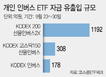 의원님 말대로?…개미, 韓증시 인버스 베팅