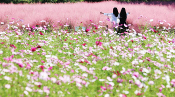 아침 최저기온 7도…급 추워진 날씨 “감기 조심하세요”