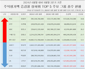 영풍 장형진·고려아연 최윤범 주식재산, 석달새 확 뛰었다