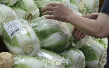 중국산 김치 원산지 거짓 표시, 작년 558건…올해도 424건