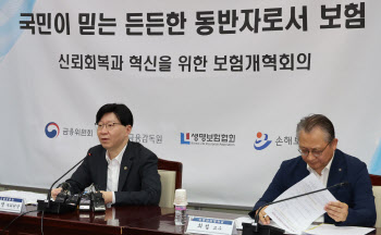 내부상품委에 CRO·CCO 참여 의무화…보장 한도 가이드라인