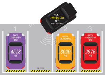 자금 빨아들이는 中·불안한 삼전까지 안갯속…돈 몰리는 ‘파킹형’ ETF