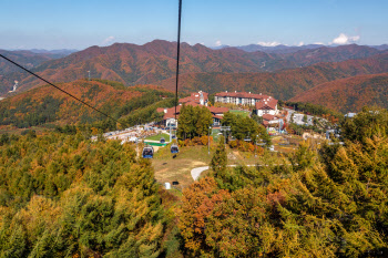  고원지대 가을 풍경과 지역 맛집 탐방 즐겨요 외