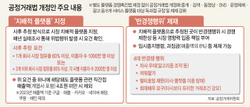 사전지정 vs 사후추정…국감서 ‘플랫폼법’ 충돌 예고