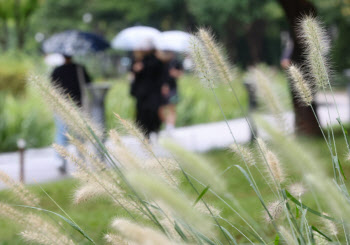 금요일 비 내린 뒤 주말 기온 `뚝`…강원 산지 `눈` 가능성