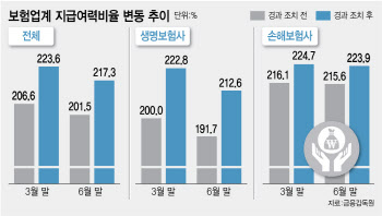 보험, 잔치는 끝났다…금리인하기 건전성 시험대