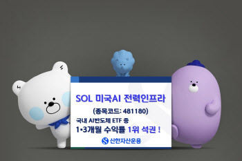 ‘SOL 미국AI 전력인프라’, AI테마 ETF 수익률 1위